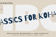 Image for event: Hawke's Bay Orchestra Presents - Classics for Koha  