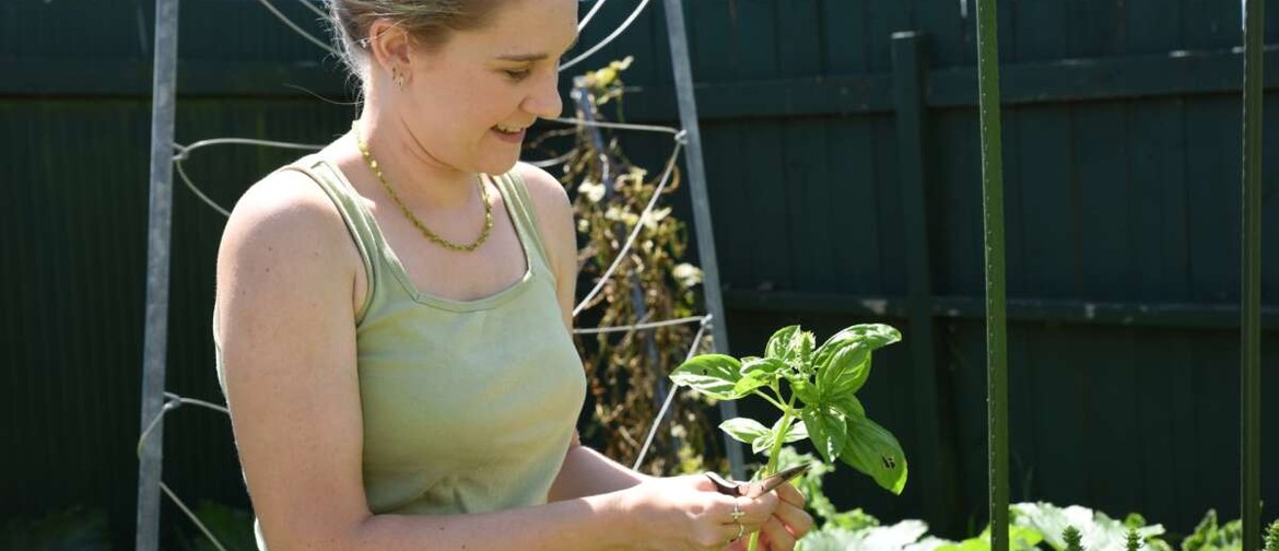 Accessible Gardening with Chronically Ellen