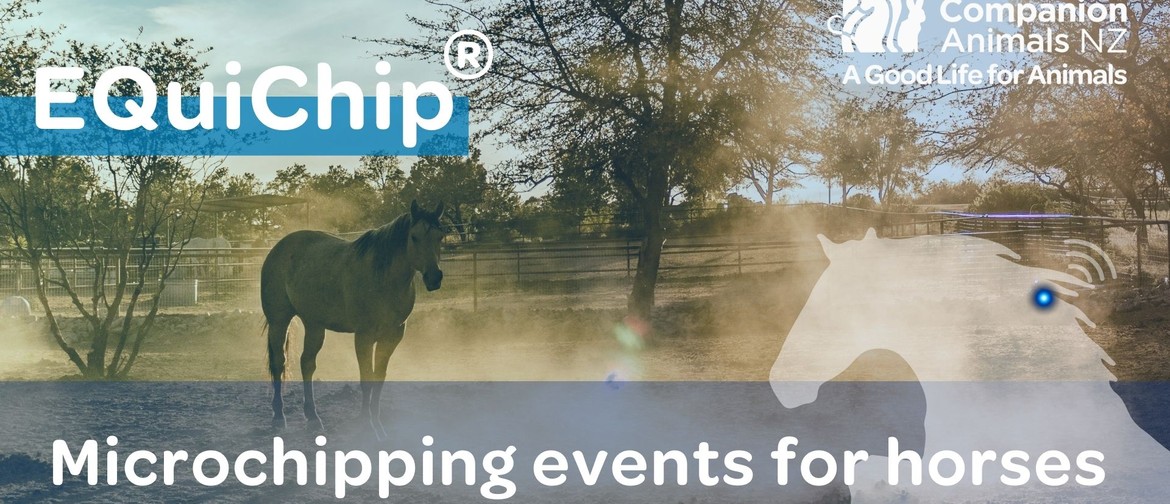 EQuiChip Horse Microchipping and Registration
