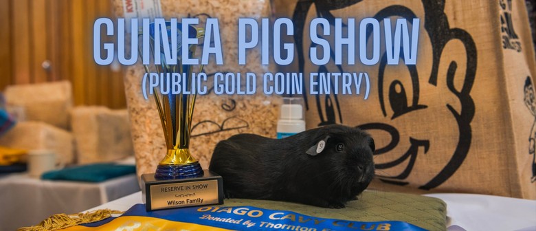Guinea Pig Show - Dunedin