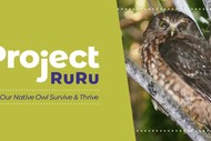 Image for event: Project Ruru