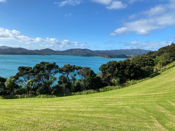 Walk – The Pāroa Bay Vineyard – Friday Wine and Dine Russell