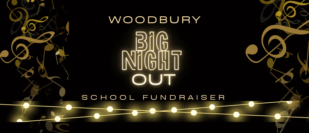 Woodbury Big Night Out Live Music School Fundraiser