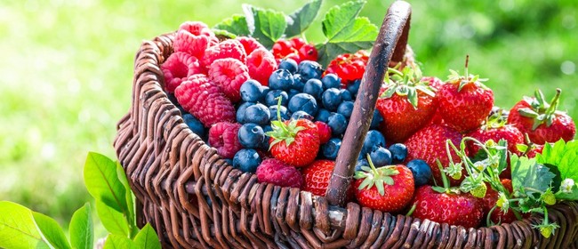 Nelson Farmers Market