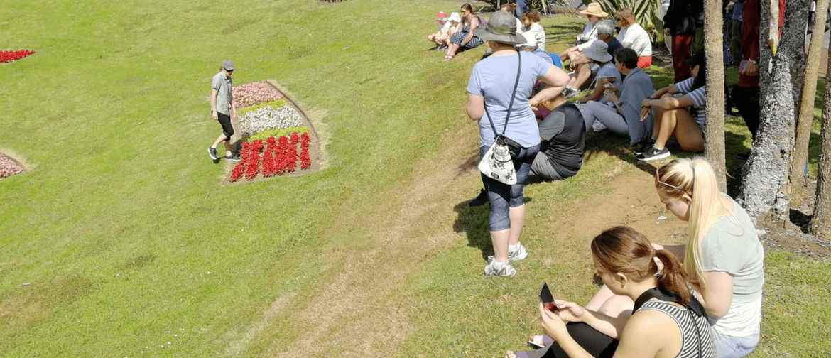 Guided Walk: Spring Gardens