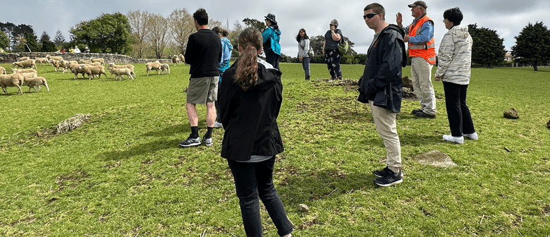 Guided Walk: Farm