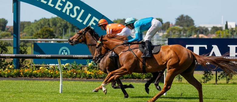 SkyCity New Year's Day Races