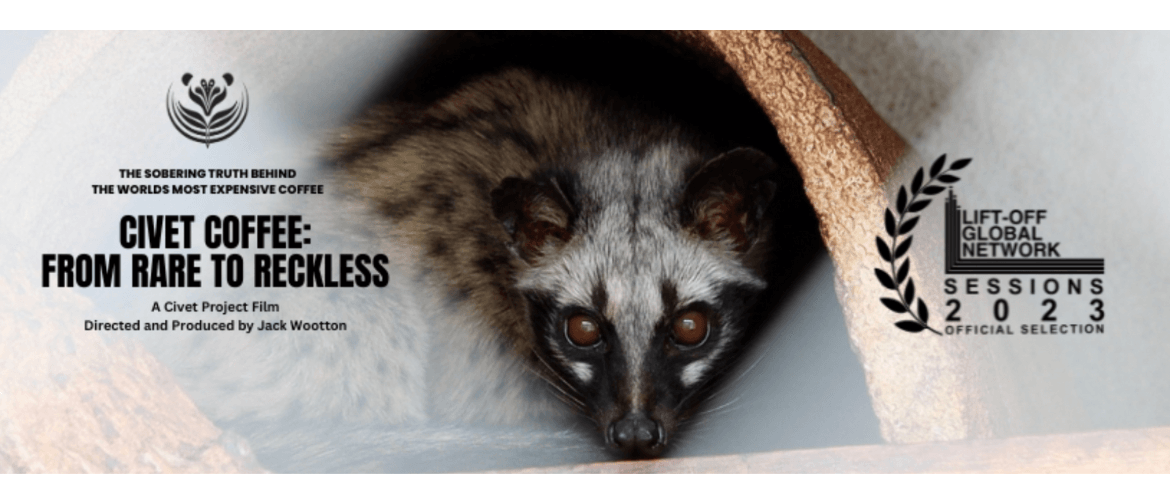 Civet Coffee: From Rare to Reckless