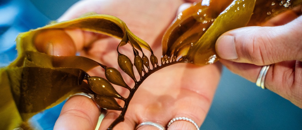 Seaweed Curious? Love Rimurimu Info session - Wellington CBD Seaweed Curious? Love Rimurimu Info session - Wellington CBD