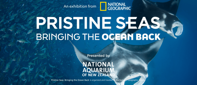 Pristine Seas: Bringing the Ocean Back