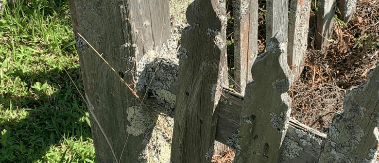 Handmade wooden fencing surrounds a historic burial plot