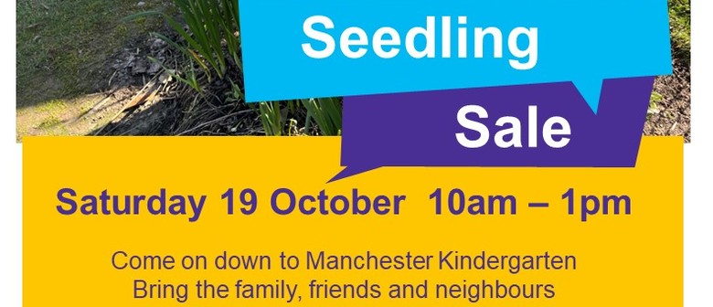 Manchester Kindergarten Seedling Sale