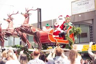 A Very Palmy Christmas Parade