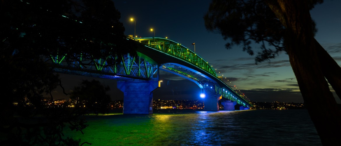 Vector Lights for World Energy Day 2024 Auckland Eventfinda