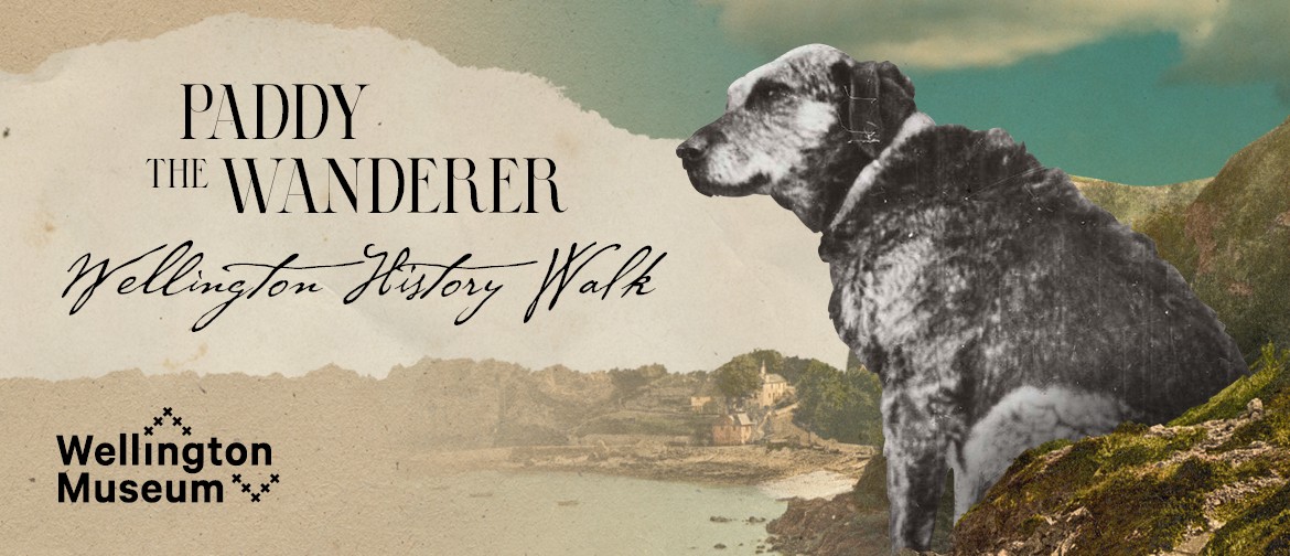 Paddy the Wanderer: Wellington History Walk: SOLD OUT Paddy the Wanderer: Wellington History Walk: SOLD OUT