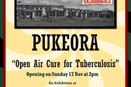 Pukeora - Open Air Cure for Tuberculosis