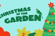 Christmas in the Garden