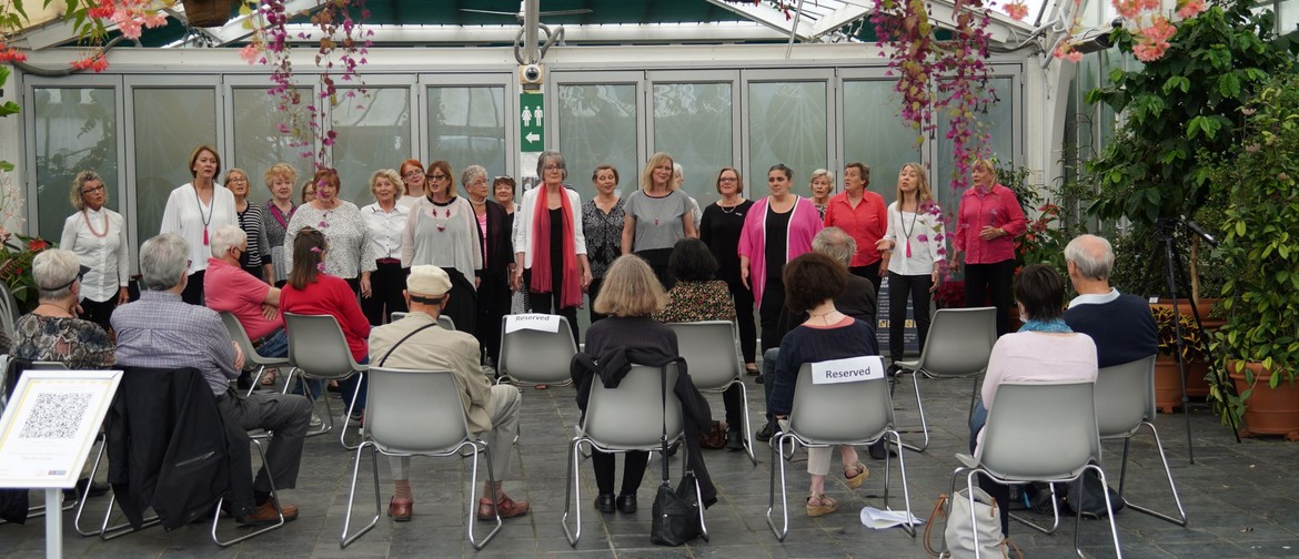 Music at the Begonia – Faultline Chorus Music at the Begonia – Faultline Chorus