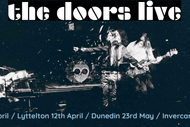 The Doors Live