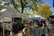 Saturday Market At the Train Station