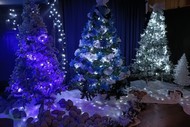 Light up ōtaki - Christmas Wonderland