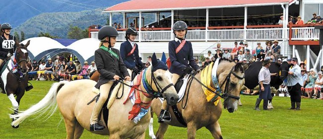 Golden Bay A&P Show