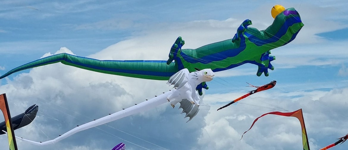 Nelson Summer Kite Festival