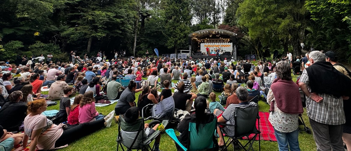 Taranaki Symphony Orchestra TSB Festival of Lights New Plymouth