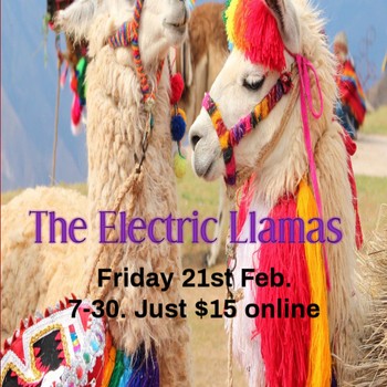 The Electric Llamas
