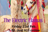 The Electric Llamas