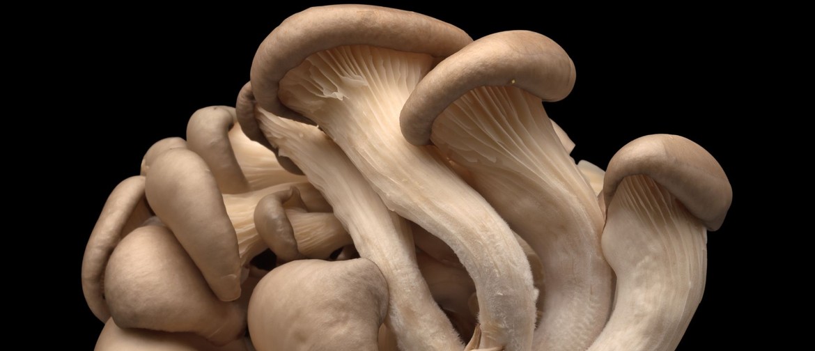 Two Mushroom Workshops (January & February 2025)