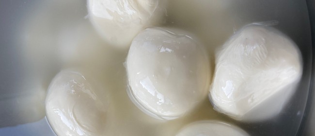 Feta, Haloumi and Mozzarella Cheese Making Workshop