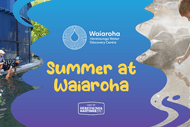 Summer at Waiaroha