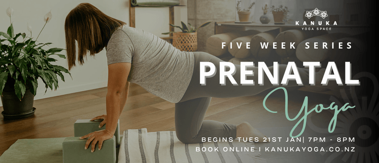 Prenatal Yoga Classes in Auckland