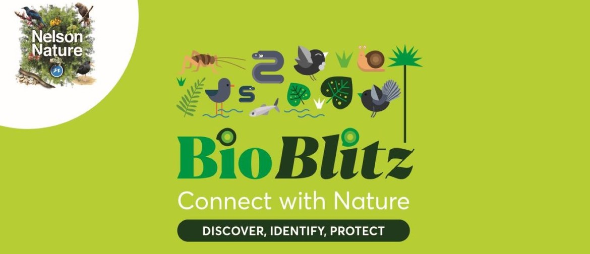 Maitai BioBlitz