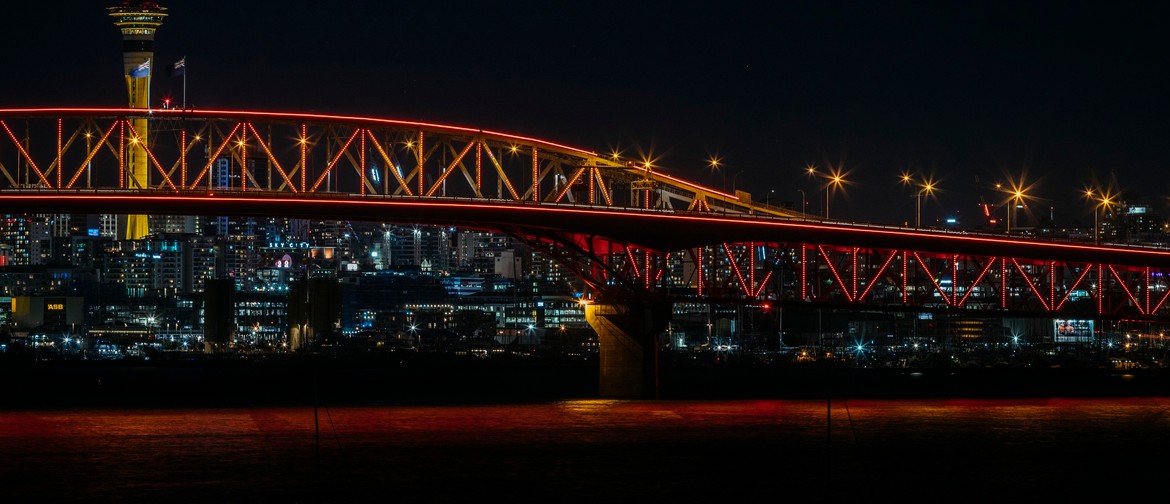 Vector Lights for BNZ Auckland Lantern Festival 2025 Auckland