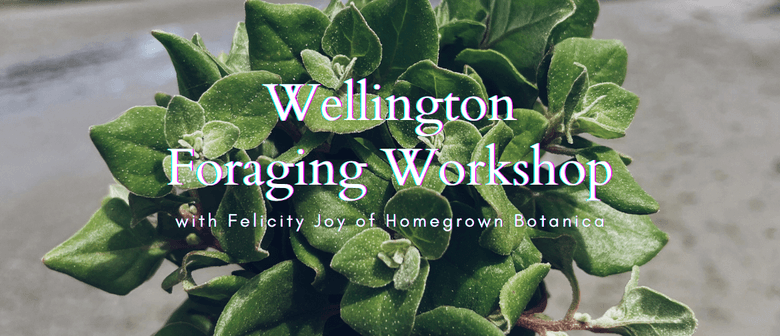 Foraging for Wild Edible Weeds 