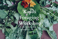 Summer Wild Edible Weeds Foraging Workshop 