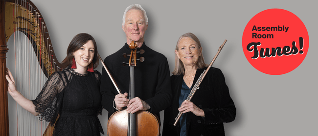 Assembly Room Tunes: February - Aurum Trio