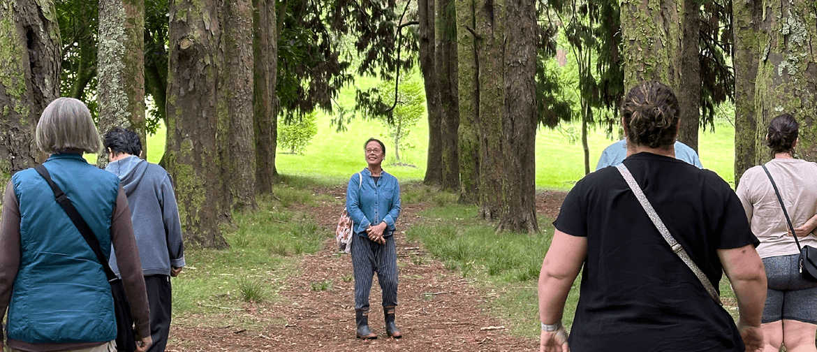 Guided Walk: Forest Bathing Guided Walk: Forest Bathing