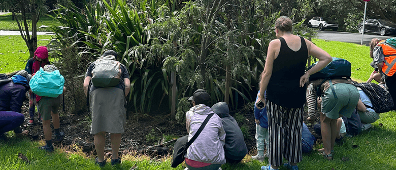 Tamariki Discover: Autumn