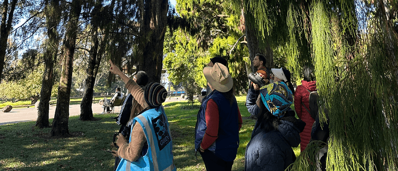 Guided Walk: Birds