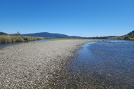 Waikanae Estuary Care Group 20th Anniversary Open Day