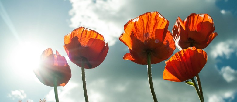 Anzac Day Service - Spring Creek