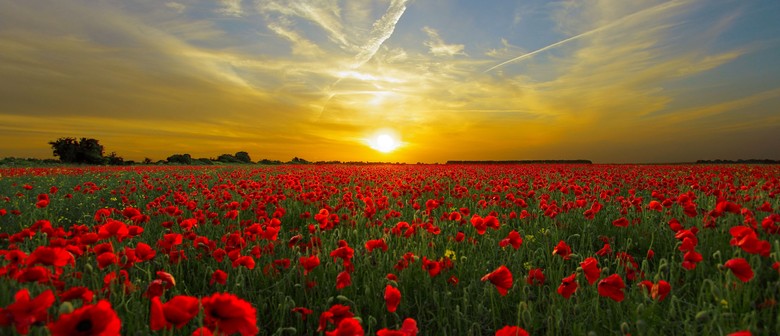 Anzac Day Service - Rai Valley