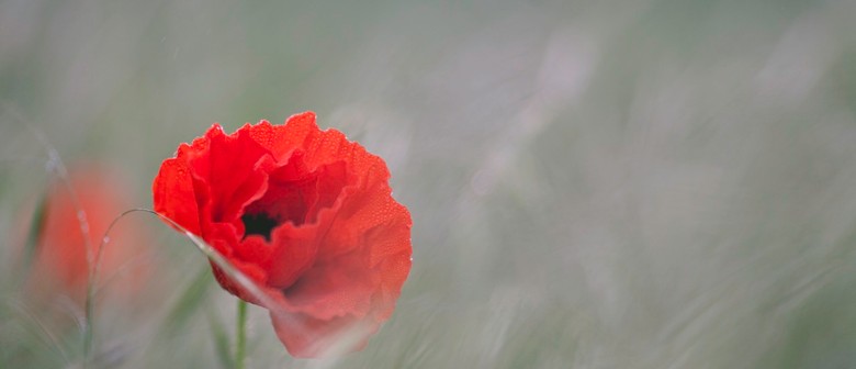 Anzac Day Service - Seddon