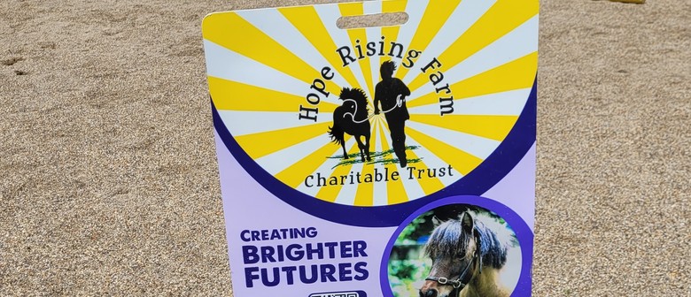 Hang Out With Horses For Women