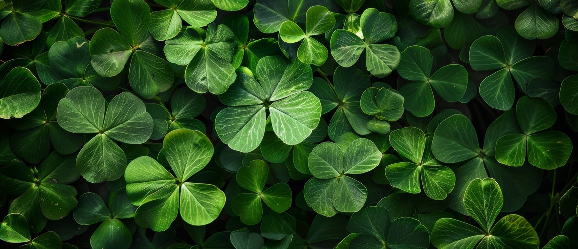 St Paddy's Day Party at Otto on Featherston St! St Patricks Day Party