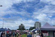 The Little Big Markets Tauranga CBD