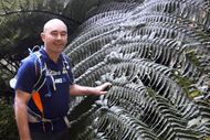 An Introduction to Wellington’s Common Native Plants
